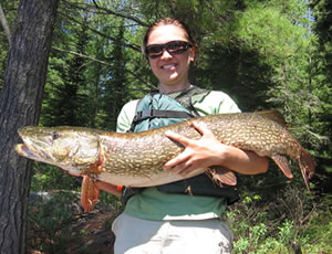 northernpike