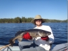 Walleye