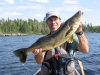 Walleye