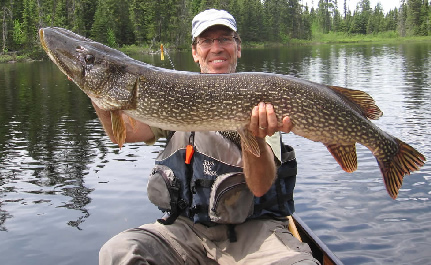 A man on a boat holding a large fish.
