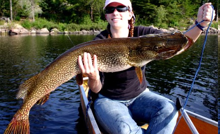photo of a young woman holding a very large fish she caught in the boundary waters
